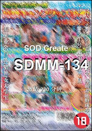 SDMM-134种子