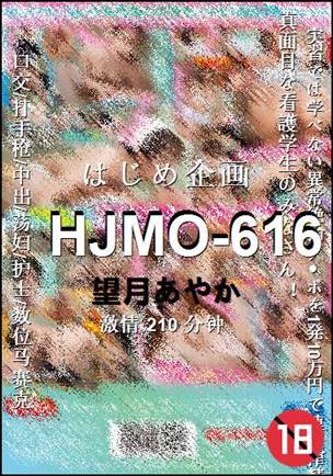 HJMO-616种子