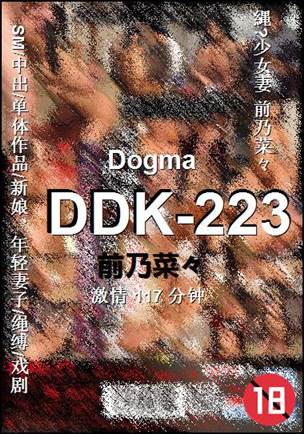DDK-223
