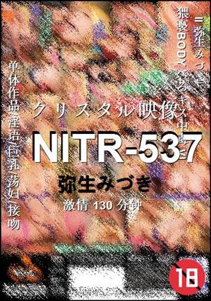 NITR-537