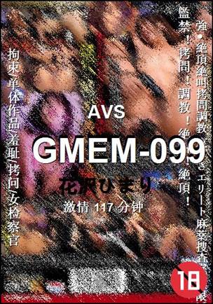 GMEM-099