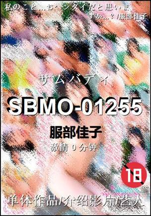 SBMO-01255