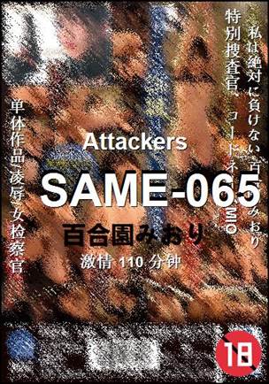 SAME-065
