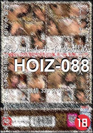 HOIZ-088种子