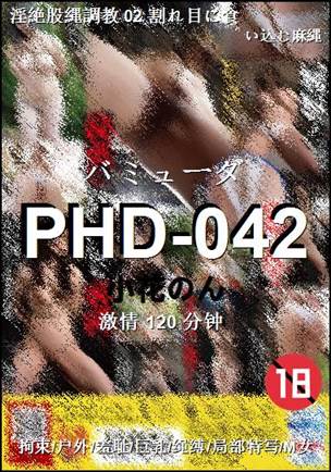 PHD-042