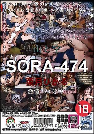 SORA-474种子