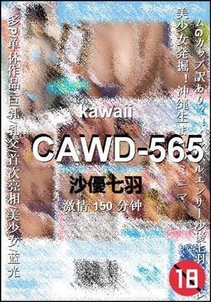 CAWD-565种子