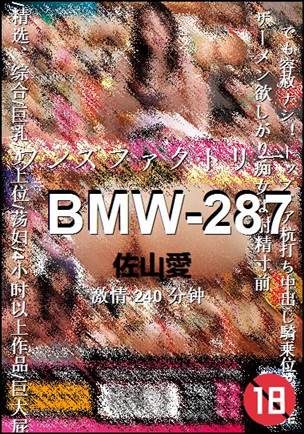 BMW-287