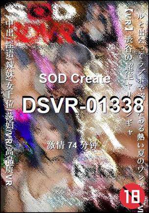 DSVR-01338