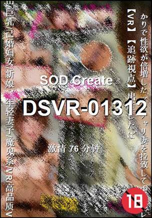 DSVR-01312