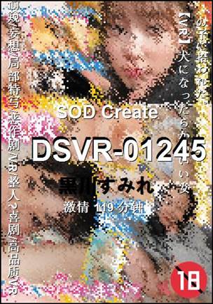 DSVR-01245种子