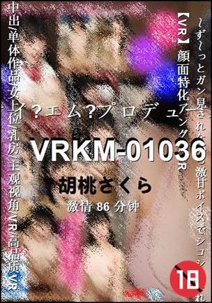 VRKM-01036