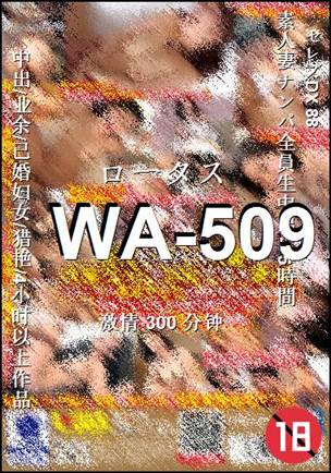 WA-509