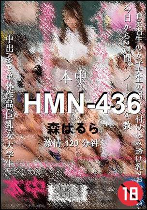 HMN-436种子