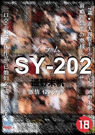 SY-202