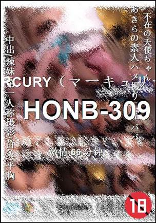 HONB-309