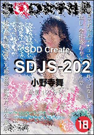 SDJS-202种子