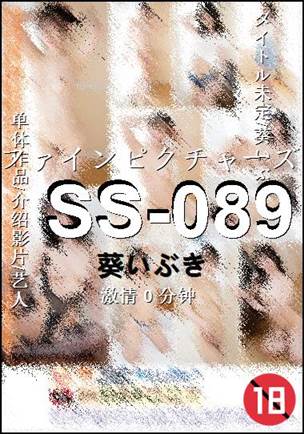 SS-089