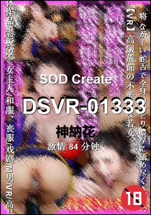 DSVR-01333种子