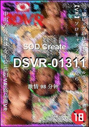 DSVR-01311