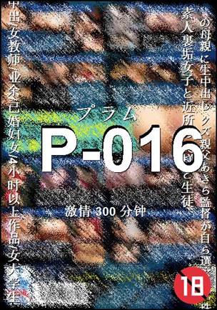 P-016种子
