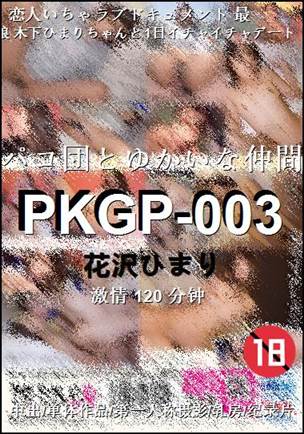 PKGP-003