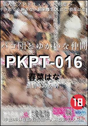 PKPT-016种子