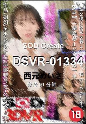 DSVR-01334
