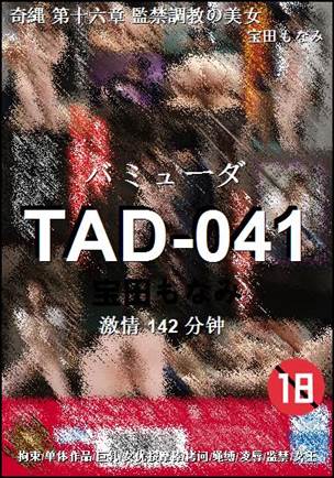 TAD-041
