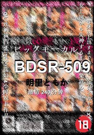 BDSR-509����