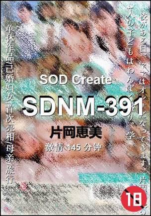 SDNM-391