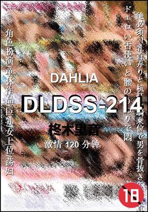 DLDSS-214