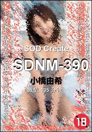 SDNM-390种子