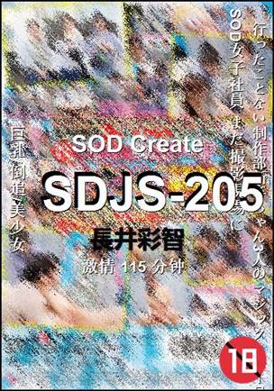 SDJS-205种子