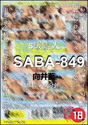 SABA-849种子