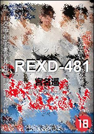 REXD-481种子