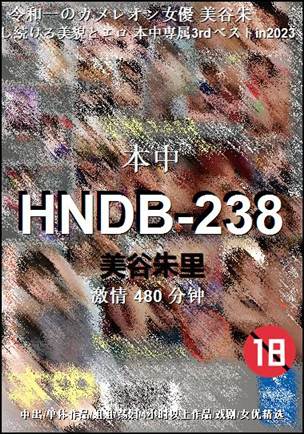 HNDB-238