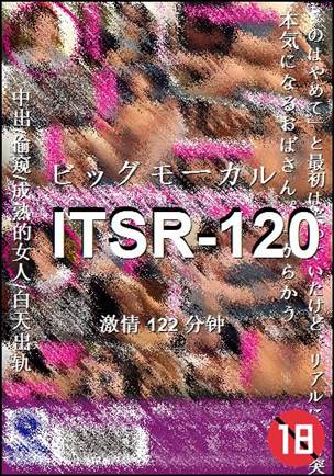 ITSR-120种子