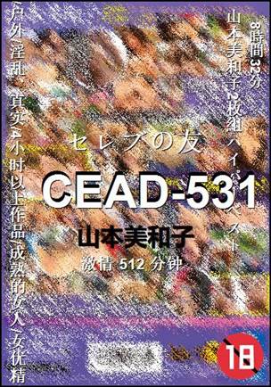 CEAD-531����