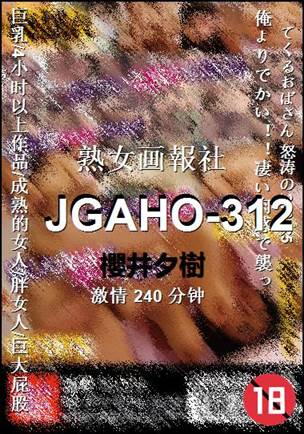 JGAHO-312����