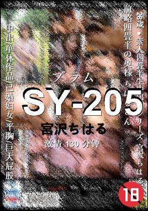SY-205种子