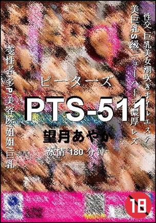 PTS-511����