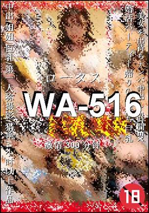 WA-516种子