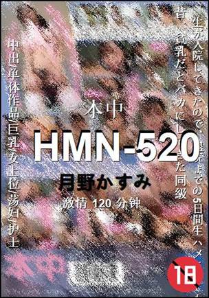 HMN-520种子