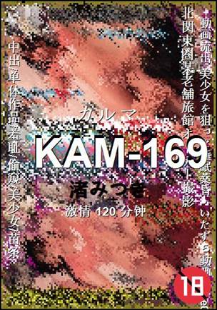 KAM-169种子