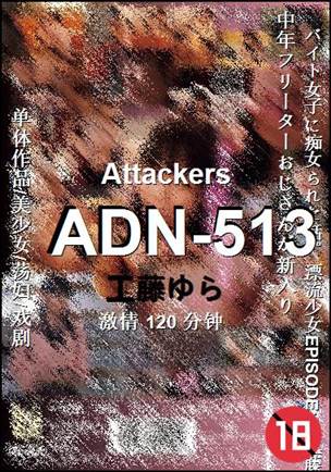 ADN-513����