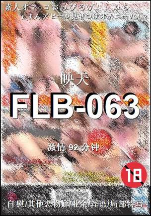 FLB-063����