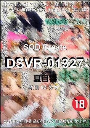 DSVR-01327����