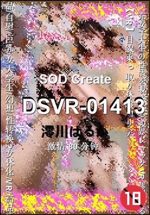 DSVR-01413����