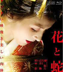 花与蛇2014迅雷下载